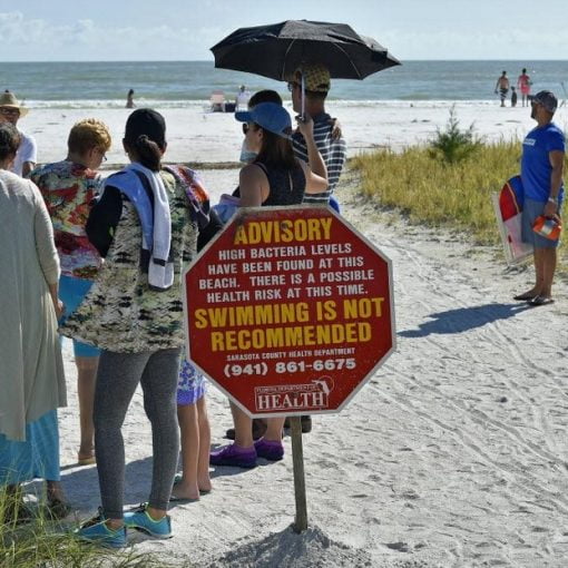 sarasota beach In: Ron Cunningham: It’s time to start freaking out about our water | Our Santa Fe River, Inc. (OSFR) | Protecting the Santa Fe River