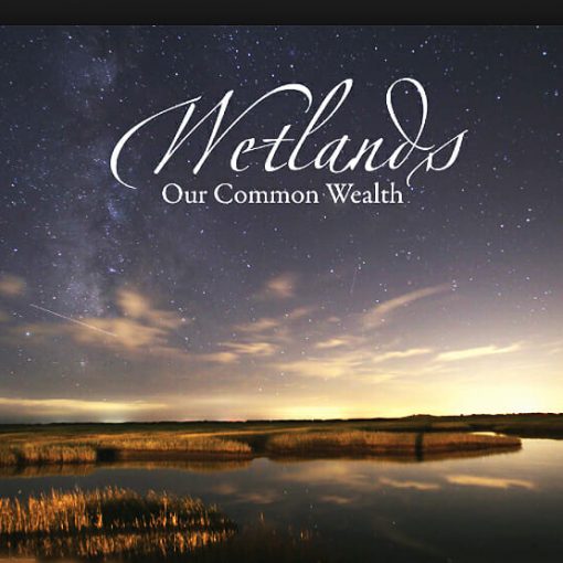 wetlands In: Help Protect The Wetlands And Our Aquifer January 23, 2018  5-8 pm | Our Santa Fe River, Inc. (OSFR) | Protecting the Santa Fe River