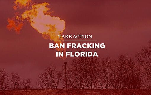 ban frack fl In: Strike While We Have the Chance! Kill Fracking Once And For All | Our Santa Fe River, Inc. (OSFR) | Protecting the Santa Fe River