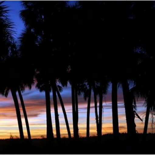 florida foreveer In: Legislators set to funnel $100M to Florida Forever | Our Santa Fe River, Inc. (OSFR) | Protecting the Santa Fe River