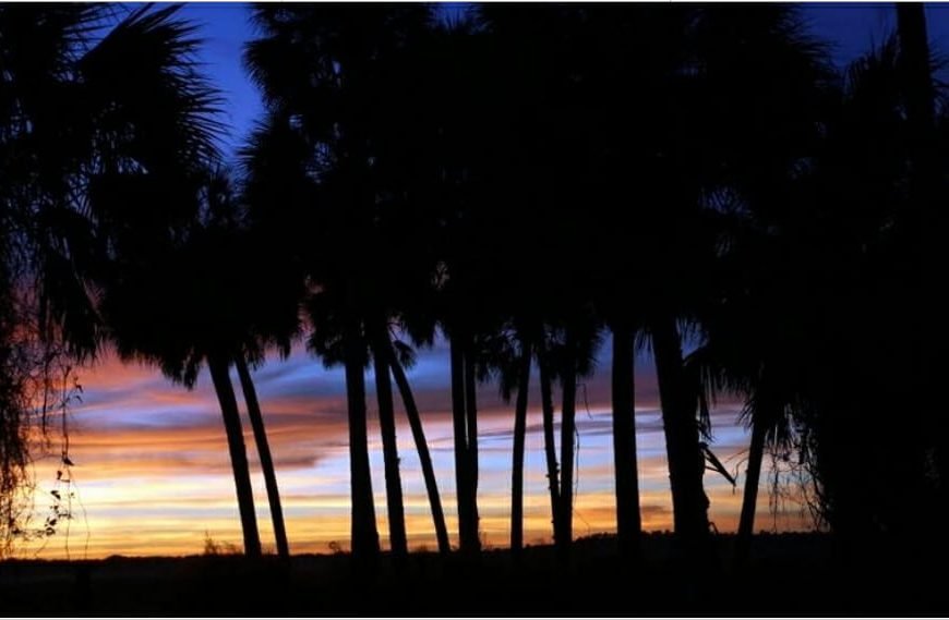 florida foreveer In: Legislators set to funnel $100M to Florida Forever | Our Santa Fe River, Inc. (OSFR) | Protecting the Santa Fe River
