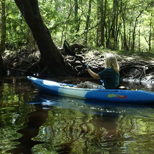 neweriverjane2 In: People and springs need rights to clean water | Our Santa Fe River, Inc. (OSFR) | Protecting the Santa Fe River