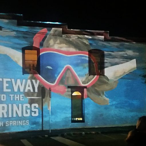 fsimural 1 In: Exciting Sneak Peek at Florida Springs Institute | Our Santa Fe River, Inc. (OSFR) | Protecting the Santa Fe River