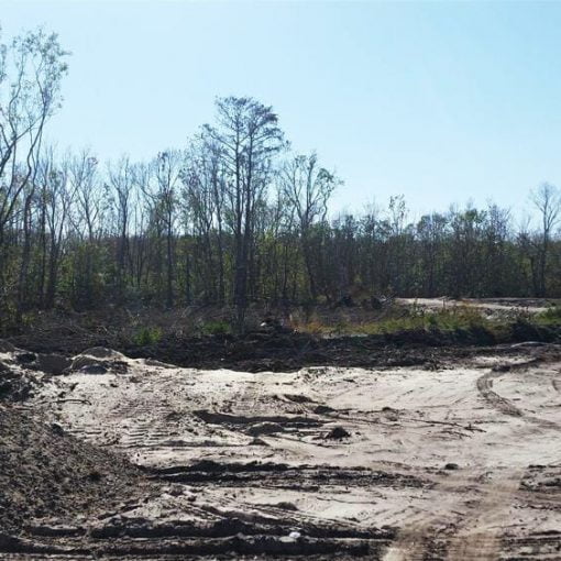 parkbarkfly2 In: Park, Bark and Fly fined $200,000 for wetland destruction | Our Santa Fe River, Inc. (OSFR) | Protecting the Santa Fe River