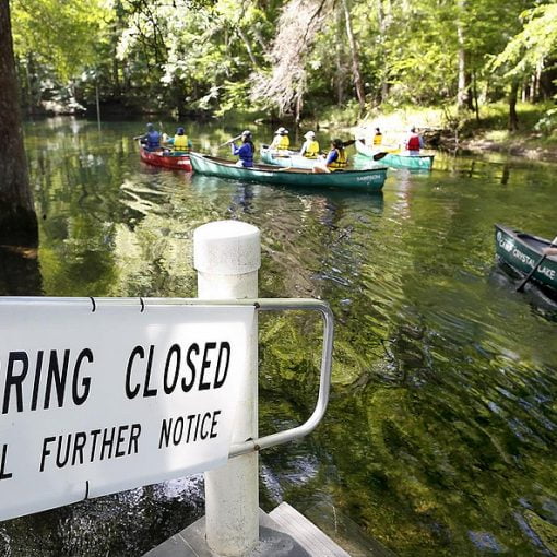 poe reopen In: Poe Springs on the way to being ‘spiffed up’ | Our Santa Fe River, Inc. (OSFR) | Protecting the Santa Fe River
