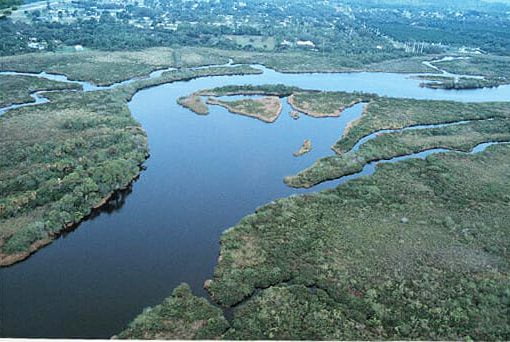 peace river In: People Say "No" to SWFWMD | Our Santa Fe River, Inc. (OSFR) | Protecting the Santa Fe River
