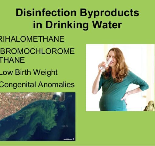 trihalomethanes In: Six Times The Allowable Toxins | Our Santa Fe River, Inc. (OSFR) | Protecting the Santa Fe River