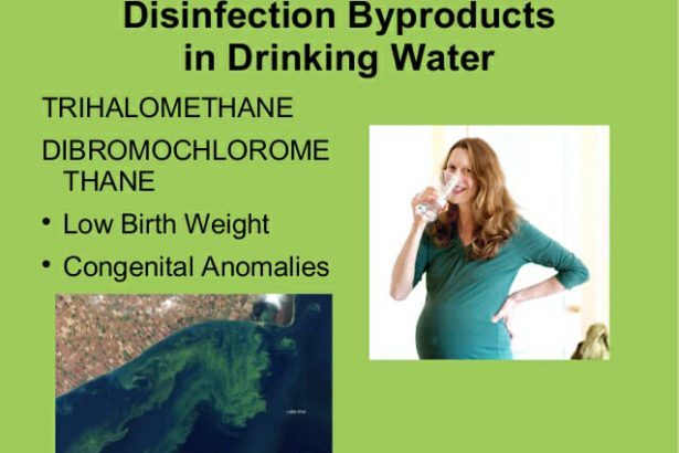 trihalomethanes In: Six Times The Allowable Toxins | Our Santa Fe River, Inc. (OSFR) | Protecting the Santa Fe River