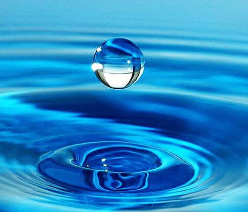 CLEAN WATER 9 777x437 In: State officials paying lip service to water quality | Our Santa Fe River, Inc. (OSFR) | Protecting the Santa Fe River
