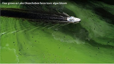 algaesummer18fi In: "... there’s really nothing you can do," No, That's Not So, "Just Stop It" | Our Santa Fe River, Inc. (OSFR) | Protecting the Santa Fe River