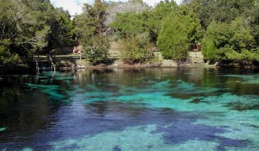 artmax 698 In: Continued Criticism of BMAPs | Our Santa Fe River, Inc. (OSFR) | Protecting the Santa Fe River