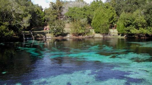 In: Continued Criticism of BMAPs | Our Santa Fe River, Inc. (OSFR) | Protecting the Santa Fe River