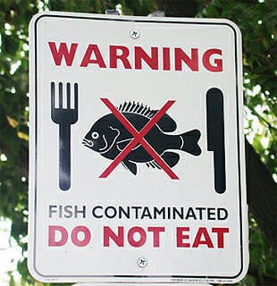 fishWarningSign In: Are the fish in Florida's polluted waters safe to eat? | Our Santa Fe River, Inc. (OSFR) | Protecting the Santa Fe River
