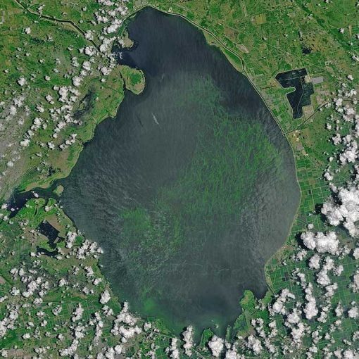 lakeO sun In: Algae blooms are part of Scott’s legacy Tallahassee Must Decide If They Want Clean Water or Poison | Our Santa Fe River, Inc. (OSFR) | Protecting the Santa Fe River