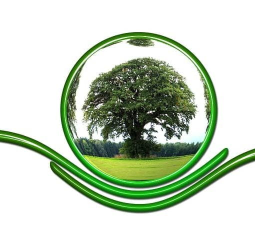 tree In: Bleak Forecast For Fossil Fuels | Our Santa Fe River, Inc. (OSFR) | Protecting the Santa Fe River