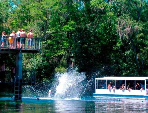 wakuklla springs In: Unrealistic BMAPS May Yet Be Challenged | Our Santa Fe River, Inc. (OSFR) | Protecting the Santa Fe River