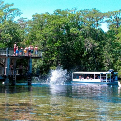 wakuklla springs new In: Short Time to Help Protect Wakulla | Our Santa Fe River, Inc. (OSFR) | Protecting the Santa Fe River