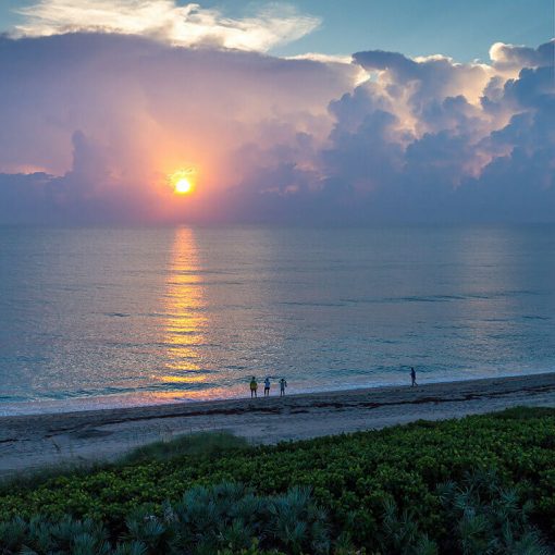 johmoran essay sun In: John Moran’s “Florida’s Summer of Slime: Stuart and Lake Okeechobee” | Our Santa Fe River, Inc. (OSFR) | Protecting the Santa Fe River