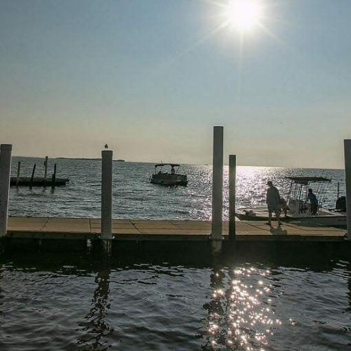 risingseas aug In: Rising Seas: Political waves over sea level rise | Our Santa Fe River, Inc. (OSFR) | Protecting the Santa Fe River