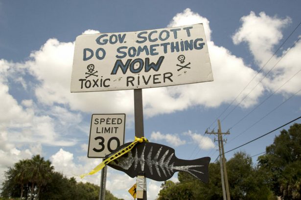 scott harmed water In: Florida Water Worse Off After Scott | Our Santa Fe River, Inc. (OSFR) | Protecting the Santa Fe River