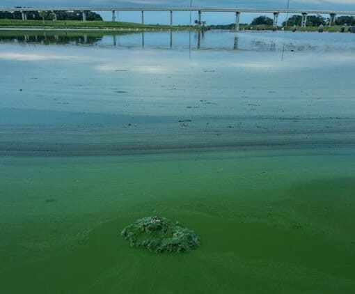 injection wells In: Lake O overflow may get pumped underground to fix algae problem | Our Santa Fe River, Inc. (OSFR) | Protecting the Santa Fe River