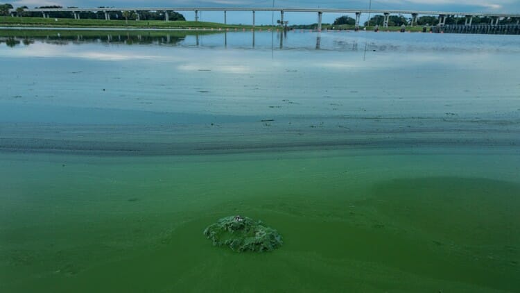injection wells In: Lake O overflow may get pumped underground to fix algae problem | Our Santa Fe River, Inc. (OSFR) | Protecting the Santa Fe River