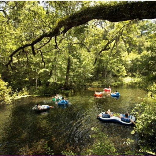bobknightoct In: Bob Knight: Despite abundant rain, aquifer levels are trending downward | Our Santa Fe River, Inc. (OSFR) | Protecting the Santa Fe River