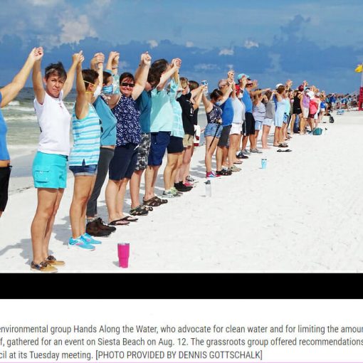 handsacross In: North Port commissioners urge residents to curb year-round fertilizer use | Our Santa Fe River, Inc. (OSFR) | Protecting the Santa Fe River