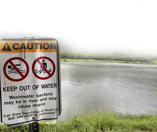 polluted watergainesville In: A Shame On Gainesville: Urban creeks in Gainesville have high levels of fecal bacteria | Our Santa Fe River, Inc. (OSFR) | Protecting the Santa Fe River