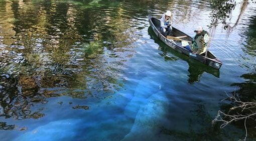 bmappic In: State geologist challenging springs action plan raised questions before | Our Santa Fe River, Inc. (OSFR) | Protecting the Santa Fe River