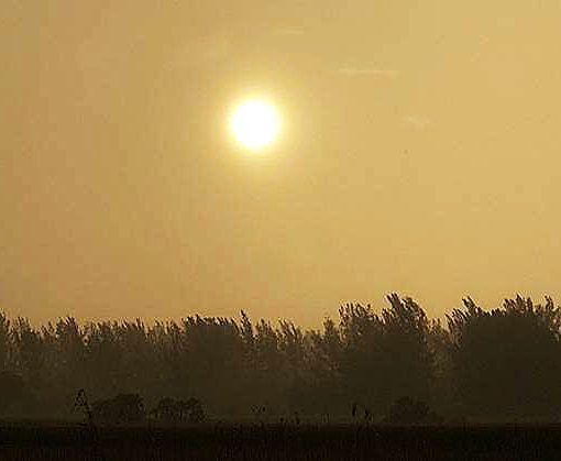 desantispost In: DeSantis has a chance to manage Florida’s growth wisely and protect its environment | Our Santa Fe River, Inc. (OSFR) | Protecting the Santa Fe River