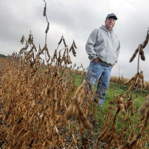 Courier In: Investigation: Few results flowing from nutrient reduction plans-- Read Florida BMAPs | Our Santa Fe River, Inc. (OSFR) | Protecting the Santa Fe River