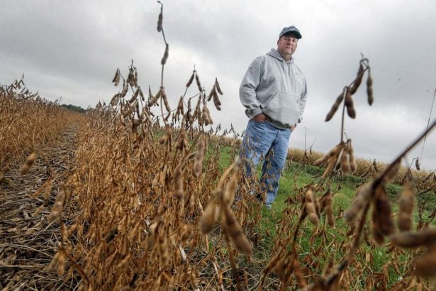 Courier In: Investigation: Few results flowing from nutrient reduction plans-- Read Florida BMAPs | Our Santa Fe River, Inc. (OSFR) | Protecting the Santa Fe River