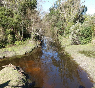 alligator crkFI In: SRWMD Gives Tour of Alligator Creek Abatement Project -- | Our Santa Fe River, Inc. (OSFR) | Protecting the Santa Fe River