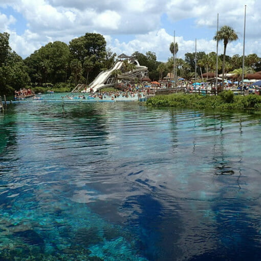 flsportpic2 1 In: The Flow Beneath Us | Our Santa Fe River, Inc. (OSFR) | Protecting the Santa Fe River
