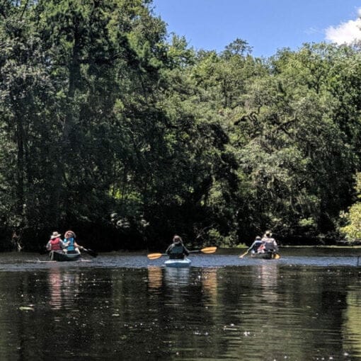 Earthday19paddle1 Copy In: Earth Day celebration “Rollin’ on the River” | Our Santa Fe River, Inc. (OSFR) | Protecting the Santa Fe River