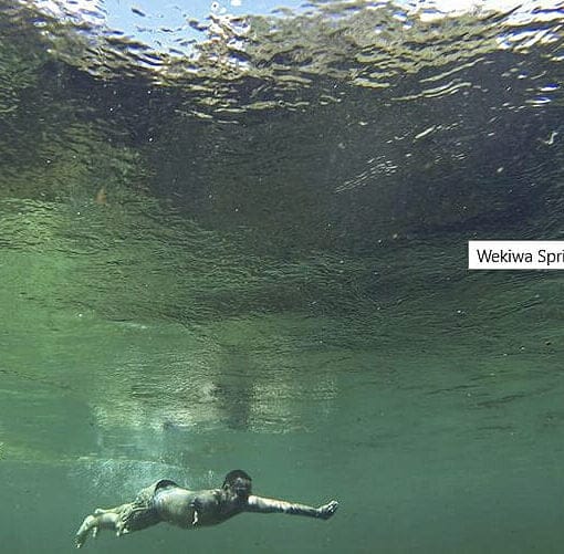 enos oped pic In: Saving Florida's springs isn't possible unless agriculture changes its ways | Our Santa Fe River, Inc. (OSFR) | Protecting the Santa Fe River