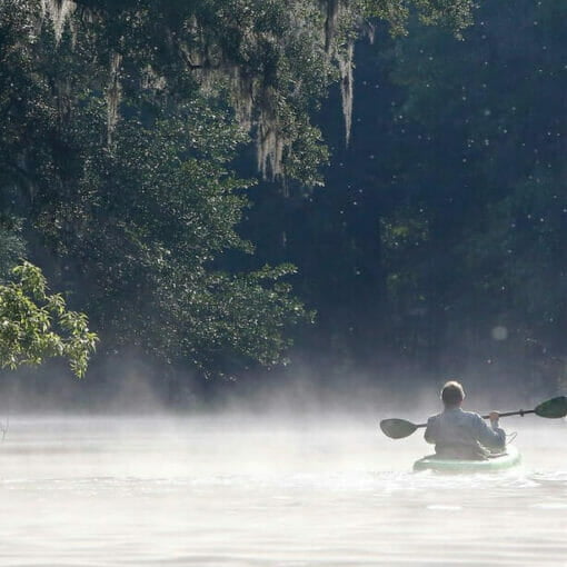 bobknights article May In: Robert Knight: Santa Fe, Ichetucknee suffering death by a thousand cuts | Our Santa Fe River, Inc. (OSFR) | Protecting the Santa Fe River