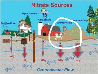 nitrate in groundwater In: River Advocates, Dairy Farmers and the DEP – can we talk? | Our Santa Fe River, Inc. (OSFR) | Protecting the Santa Fe River