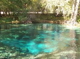 Manatee Springs State Park Florida springs041 In: Water activist opposes Nestlé’s plan to bottle 1 million gallons a day from Florida springs | Our Santa Fe River, Inc. (OSFR) | Protecting the Santa Fe River