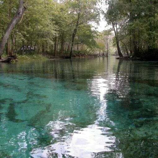GINNIE PIC MMJ In: OSFR Board Members Speak Out On Nestle WUFT | Our Santa Fe River, Inc. (OSFR) | Protecting the Santa Fe River