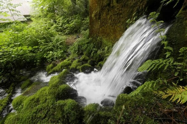 nestle guardian bob K In: The fight to stop Nestlé from taking America's water to sell in plastic bottles | Our Santa Fe River, Inc. (OSFR) | Protecting the Santa Fe River