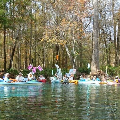 nest petitions group ginnie Copy In: Florida Springs Council Wins Appeal | Our Santa Fe River, Inc. (OSFR) | Protecting the Santa Fe River