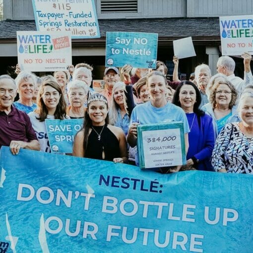 nest petitions press R MMJ In: Hundred of Thousands Sign Against Nestle/Seven Springs Permit | Our Santa Fe River, Inc. (OSFR) | Protecting the Santa Fe River