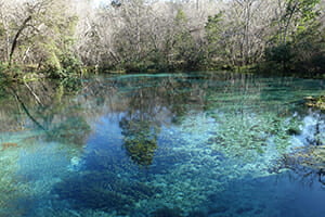 Iche2018meFI In: The Death of North Florida's Springs | Our Santa Fe River, Inc. (OSFR) | Protecting the Santa Fe River