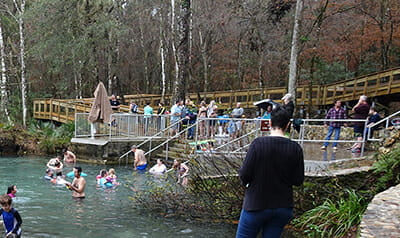 iche20scenefi In: Iche Dip Not Very Nippy | Our Santa Fe River, Inc. (OSFR) | Protecting the Santa Fe River