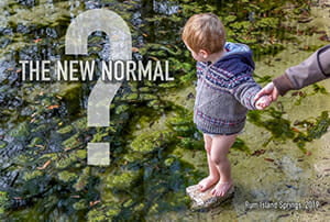the new norm moranFI In: Thomas Linzey: It’s time for new laws to protect Florida’s waters | Our Santa Fe River, Inc. (OSFR) | Protecting the Santa Fe River