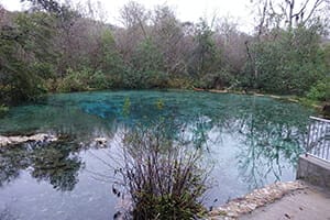 iche20springfi In: Here's how to fix Florida's water crisis — and how to pay for it | Opinion | Our Santa Fe River, Inc. (OSFR) | Protecting the Santa Fe River