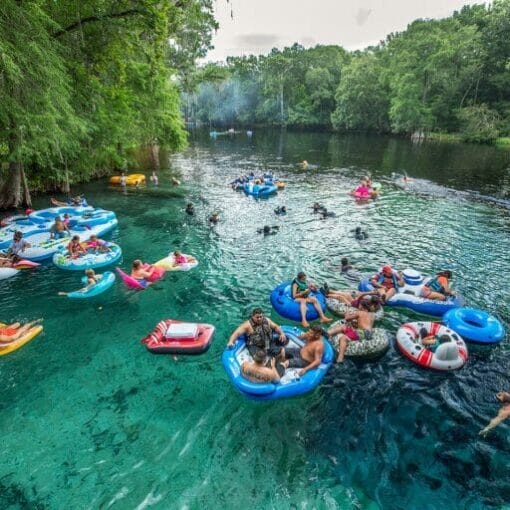 GinnieSpringsMoran 768x512 1 In:  Ginnie Springs and Seven Springs Water Company: Profit ahead of the public good? | Our Santa Fe River, Inc. (OSFR) | Protecting the Santa Fe River