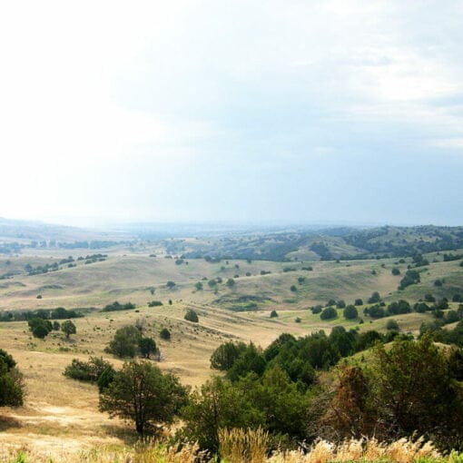 SouthDakota2 In: Florida’s Clean Waterways Act undermines democracy and sensible environmental action | Our Santa Fe River, Inc. (OSFR) | Protecting the Santa Fe River